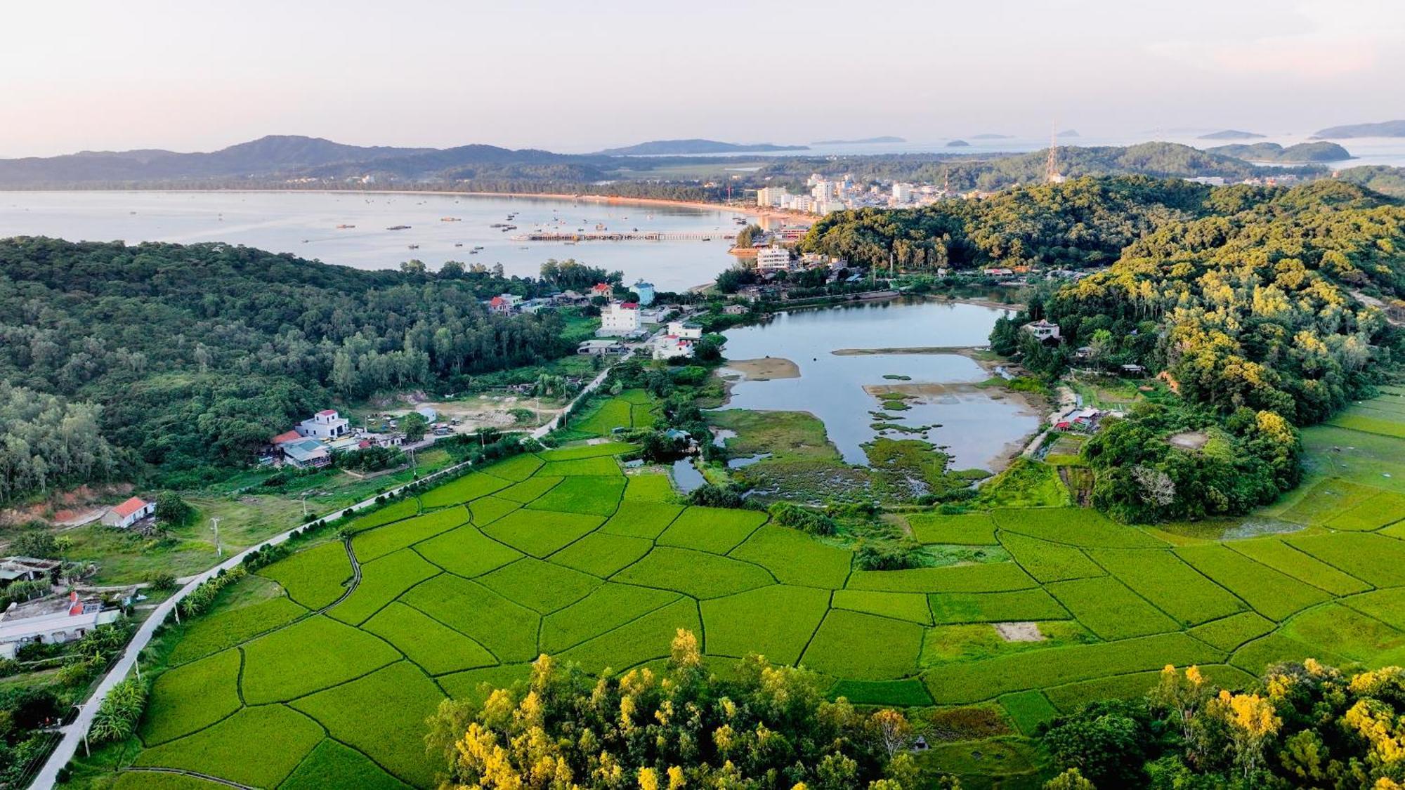 Coto Island Beach Village Homestay Dao Co To Exterior foto